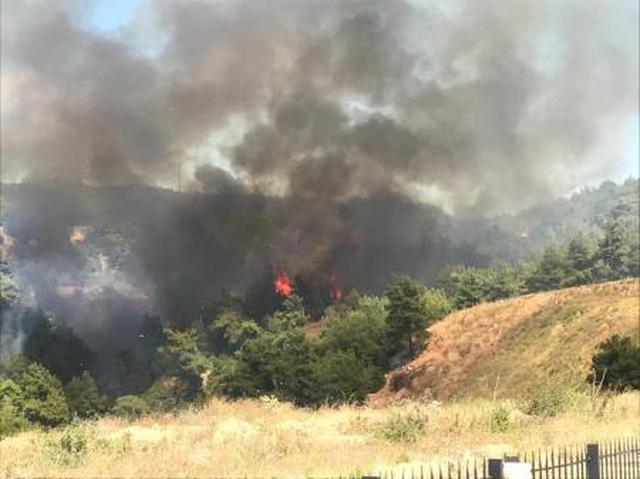 Çanakkale'de orman yangını! Hastaneler tahliye edildi