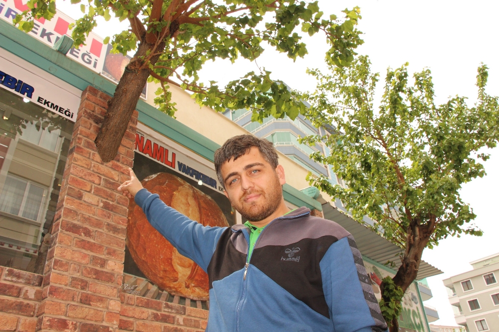 Ağacı kesmeye kıyamadı, bunu yaptı!