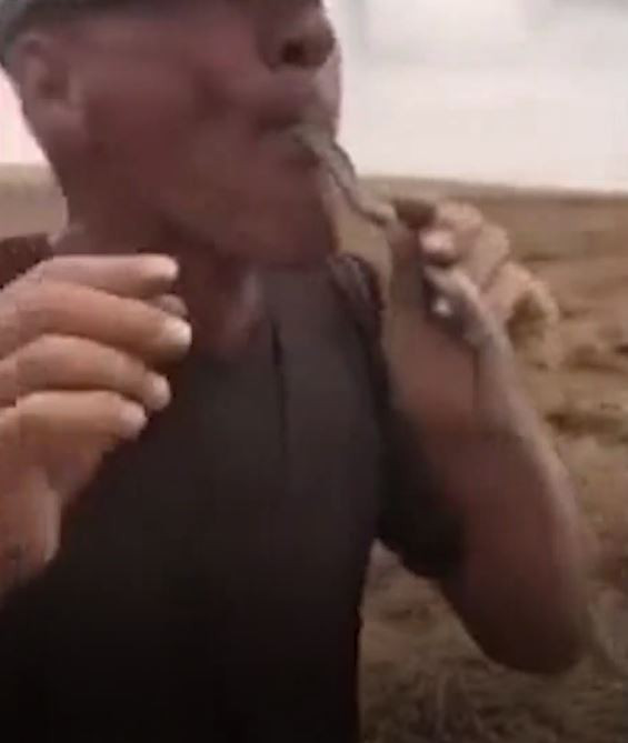 Arkadaşlarını etkilemek için yılanı ağzına soktu! Hayatını kaybetti