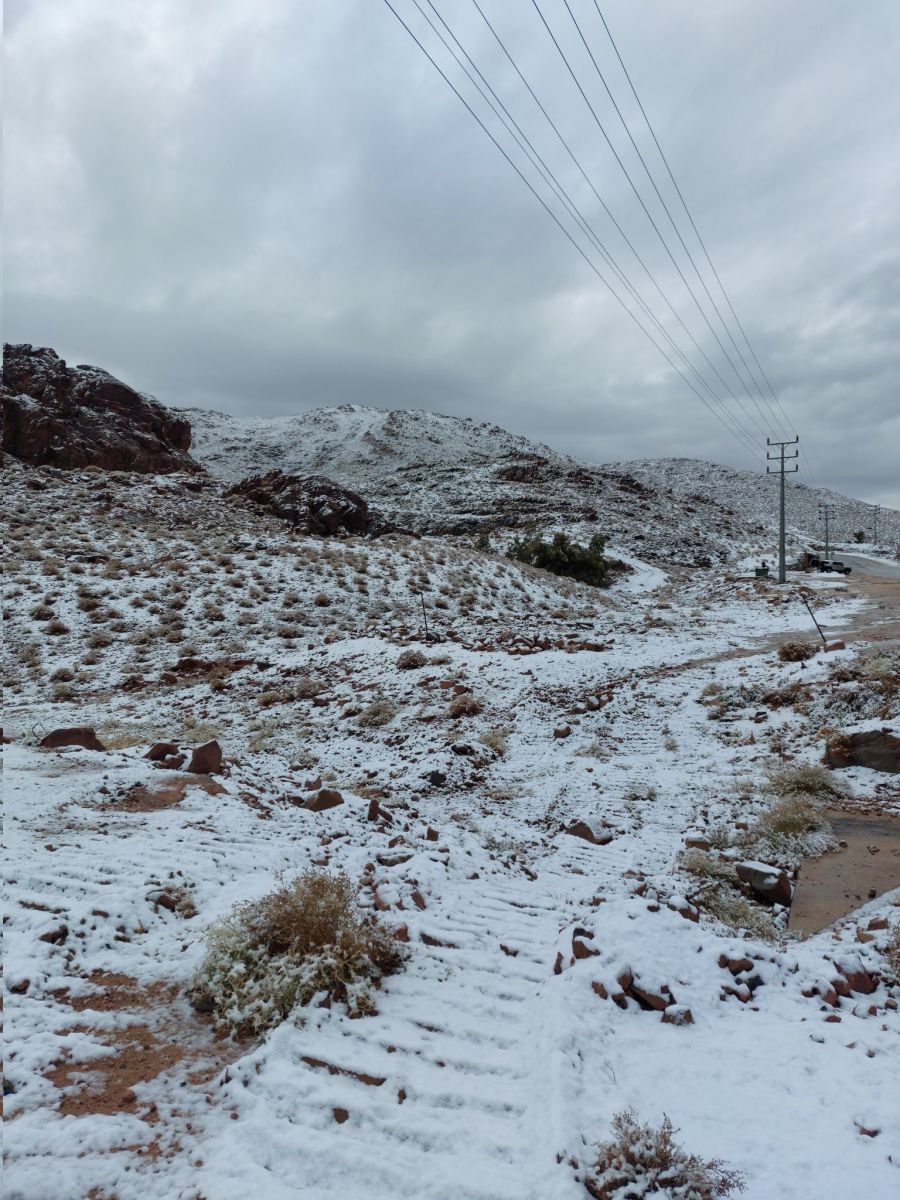 Suudi Arabistan’da kar sevinci