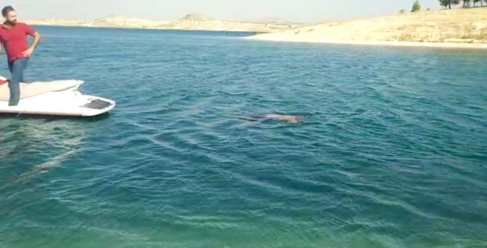 Ailecek gittikleri piknik sonları oldu! Baba ile kızı öldü, oğlunun durumu ağır