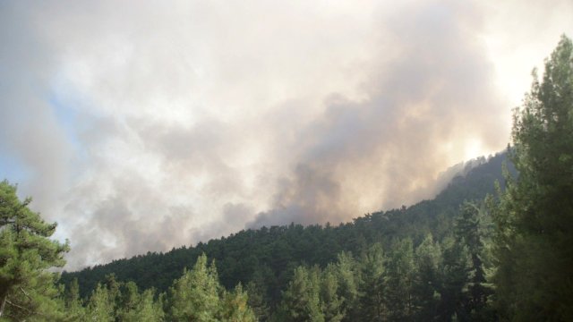 Antalya'da yangın!