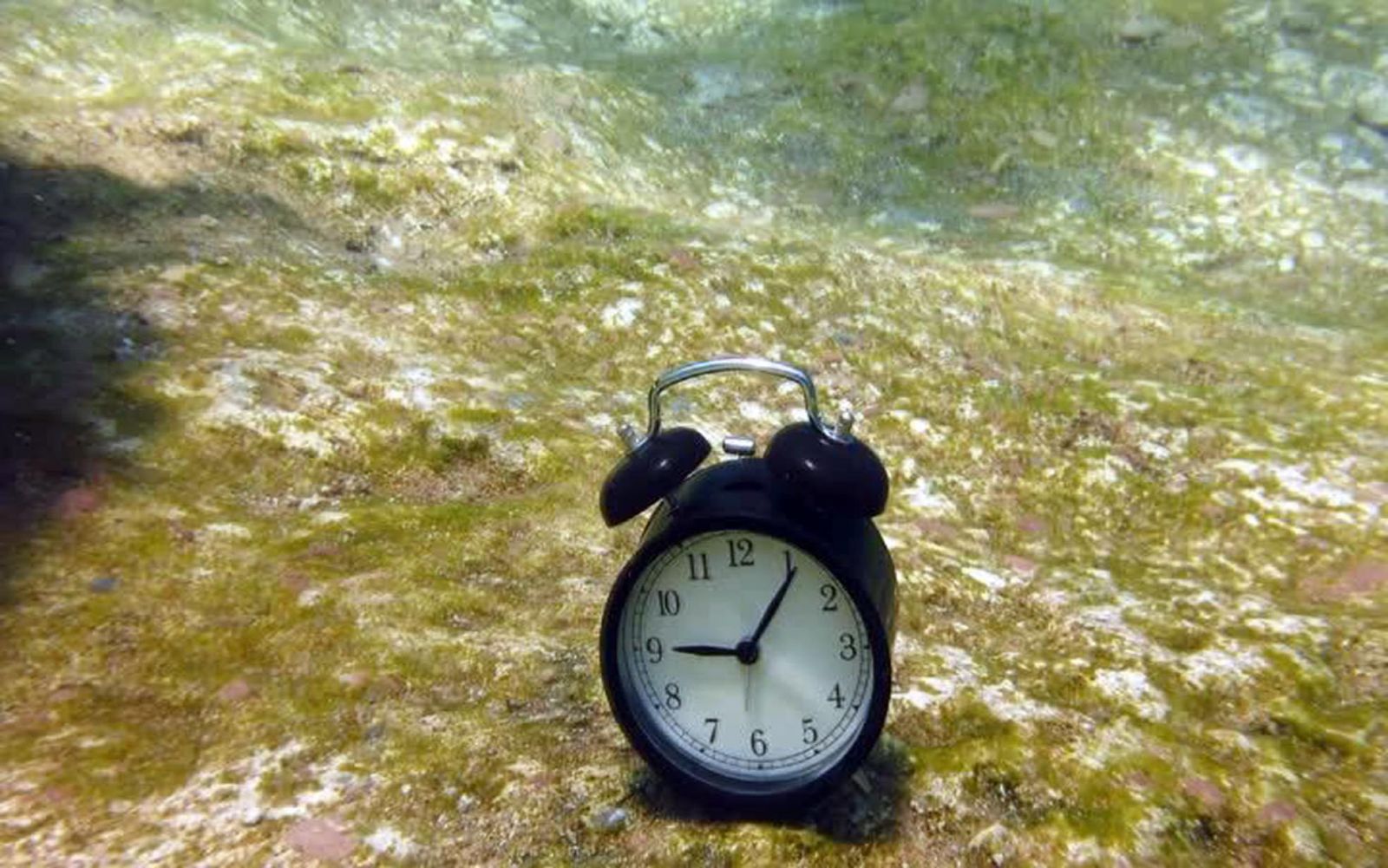 Yatak odalarını denizin dibine taşıdılar!