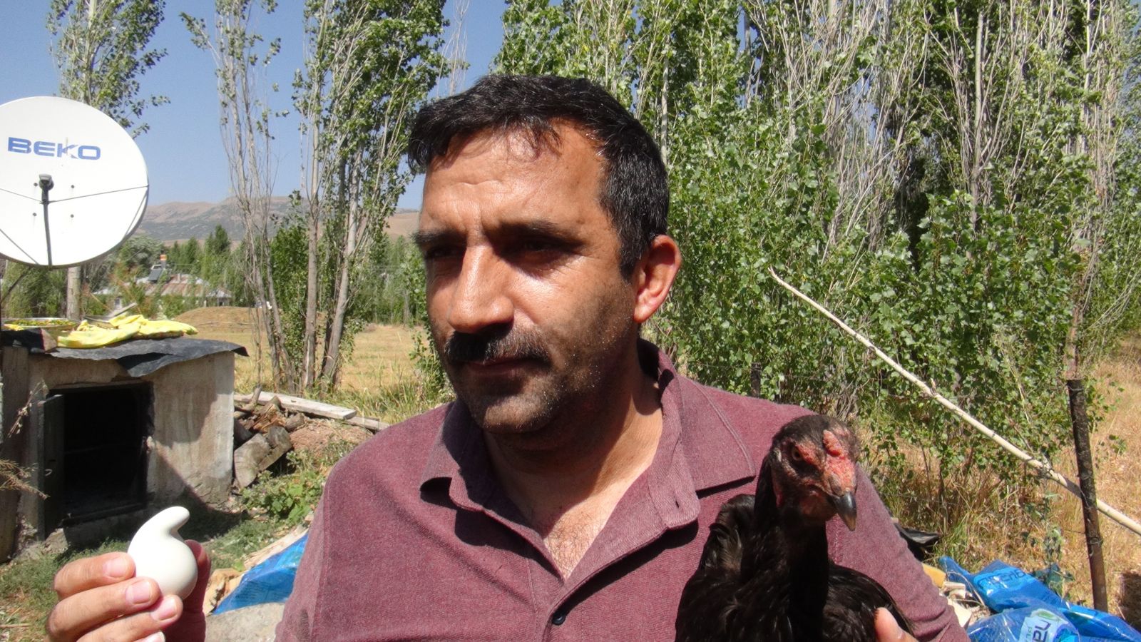 Armut şeklindeki yumurta görenleri şaşkına çevirdi