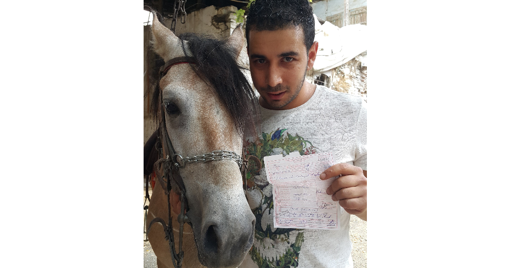 Yarış atına trafik cezası kesildi!