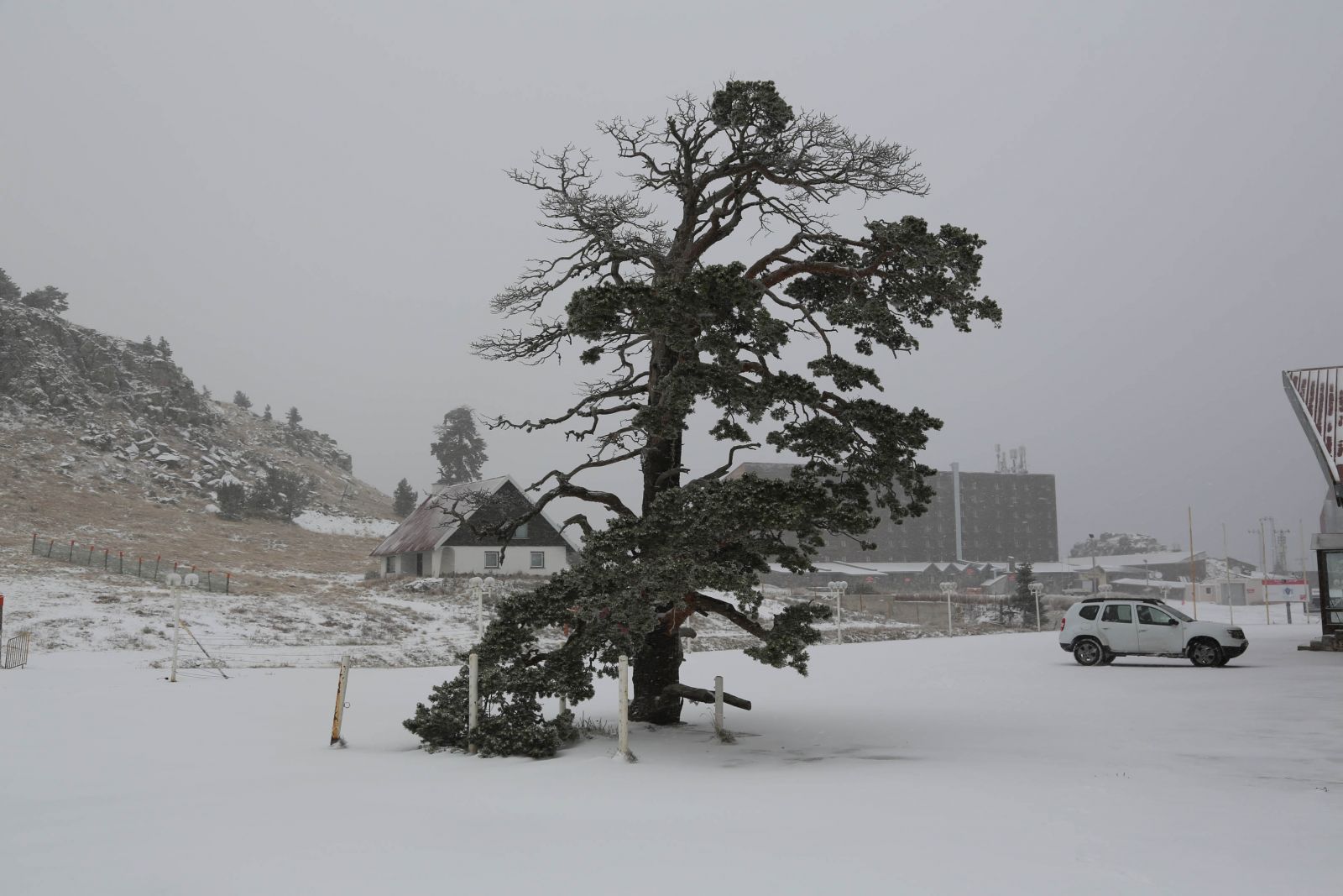 Bolu'da kar yağışı başladı