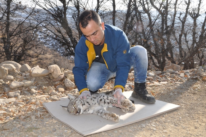 Köylüler bu halde buldu