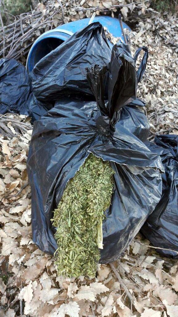 Terör örgütü PKK'ya büyük darbe