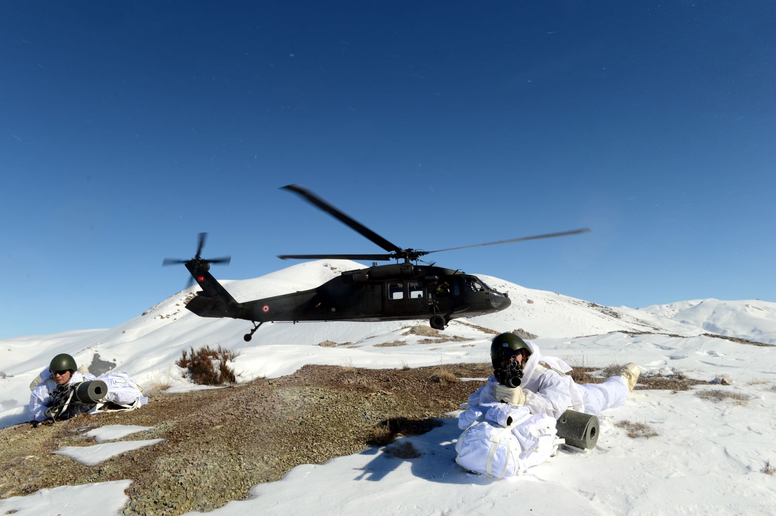 Armaları Van Gölü canavarı