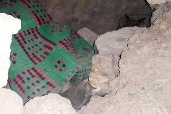 Şırnak'ta 14 terörist mağarası ve barınak imha edildi
