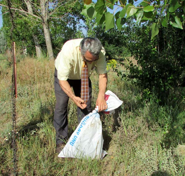 Çamaşır makinesine giren yılanı itfaiye çıkardı