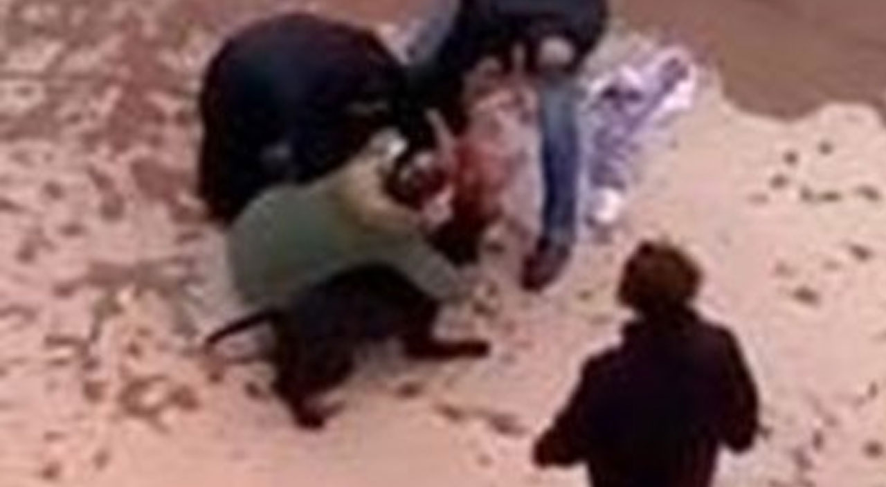 Pitbulların sahibi kamera kayıtlarını silmiş Pitbulların sahibi kamera kayıtlarını silmiş
