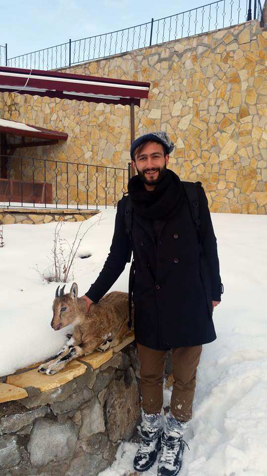 Yaban keçisi donarak öldü