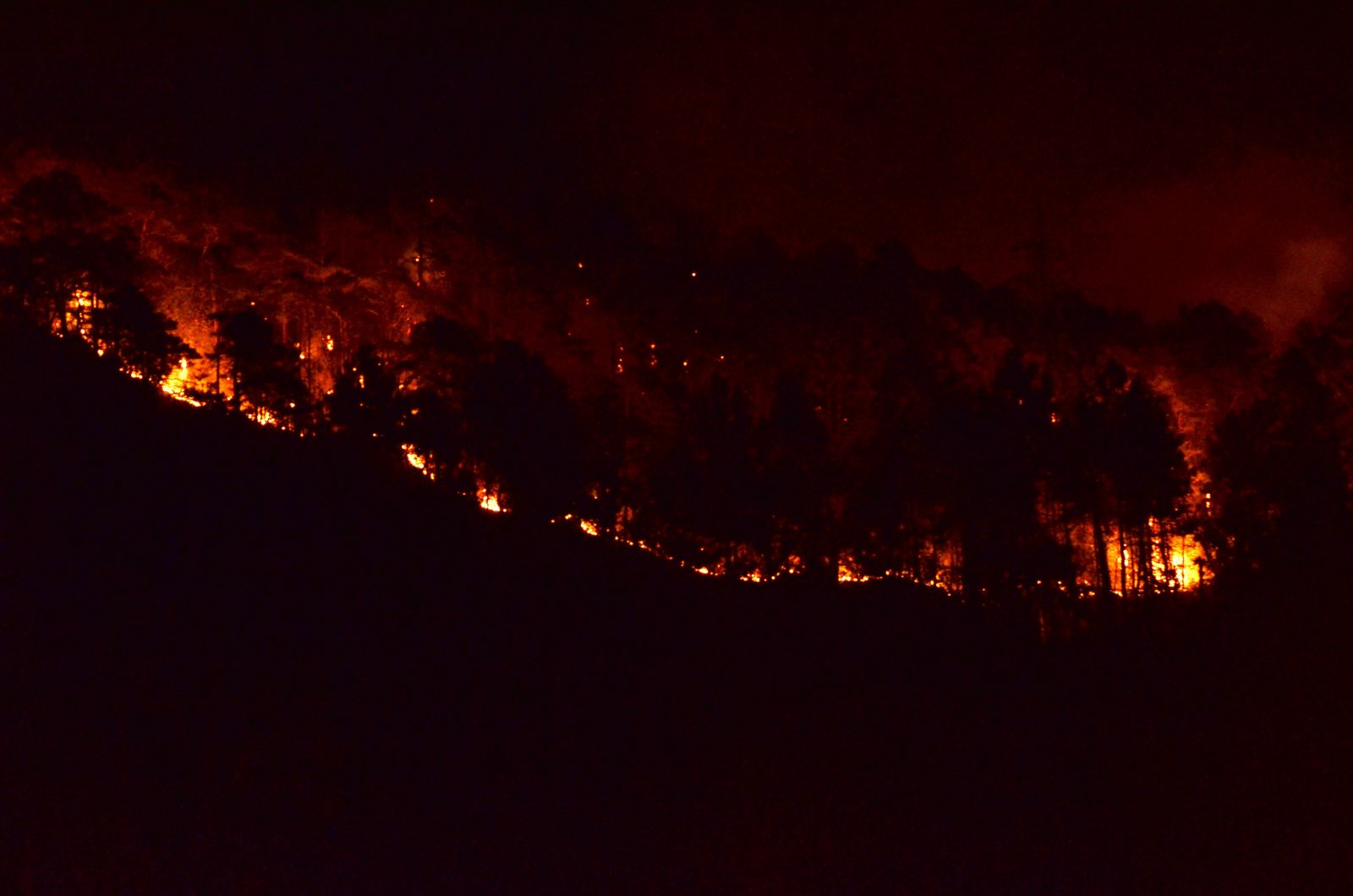 Trabzon Sürmene'de orman yangını