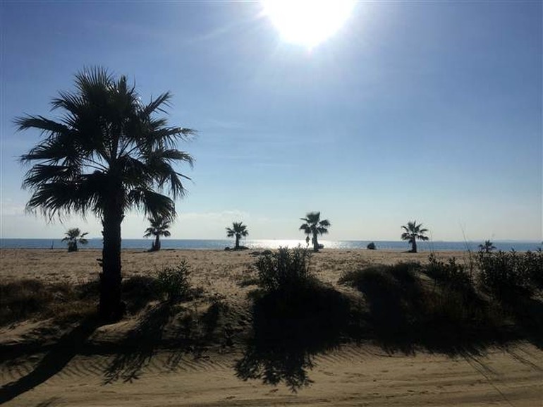 Sahildeki barakaya taşındı, kanseri yendi!