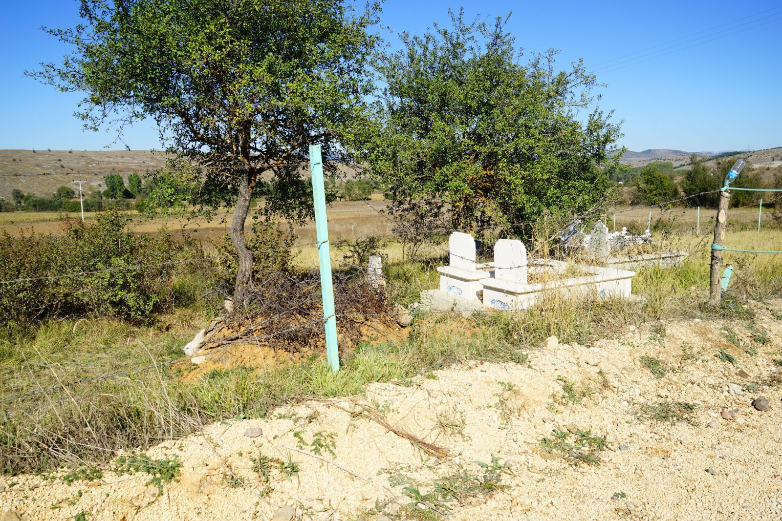 Ceset yiyen ayı, Kastamonu’da yeniden ortaya çıktı
