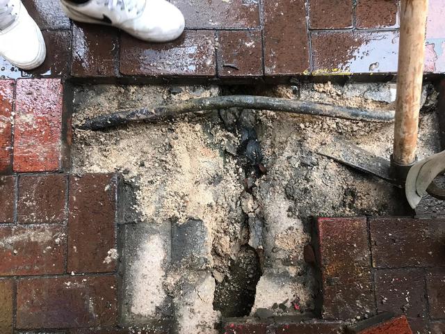 Fareler elektrik kablolarını kopardı, kesinti yaşandı