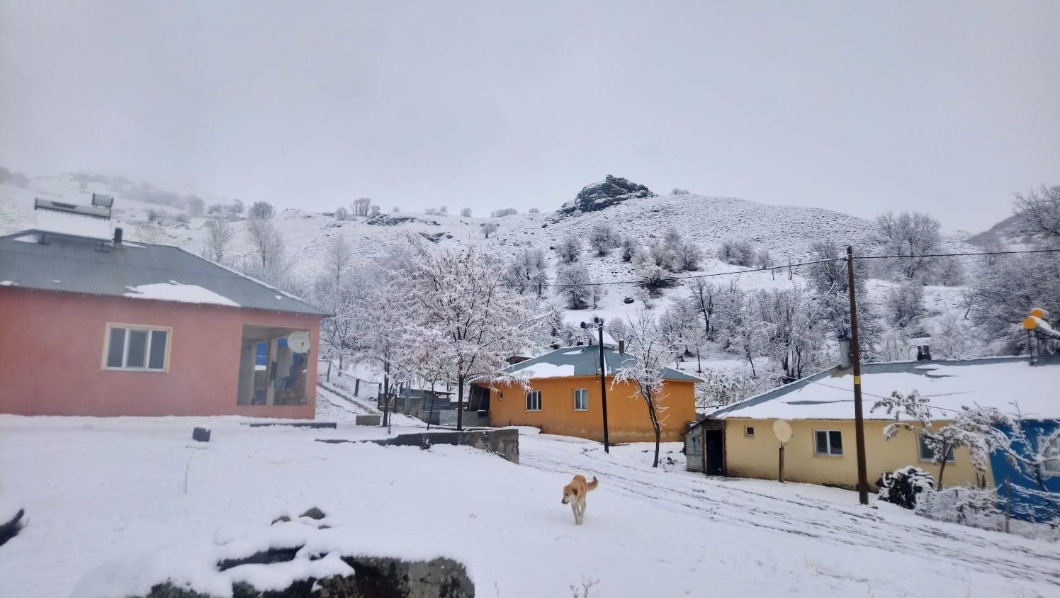 Tunceli’de kar 71 köy yolunu ulaşıma kapattı