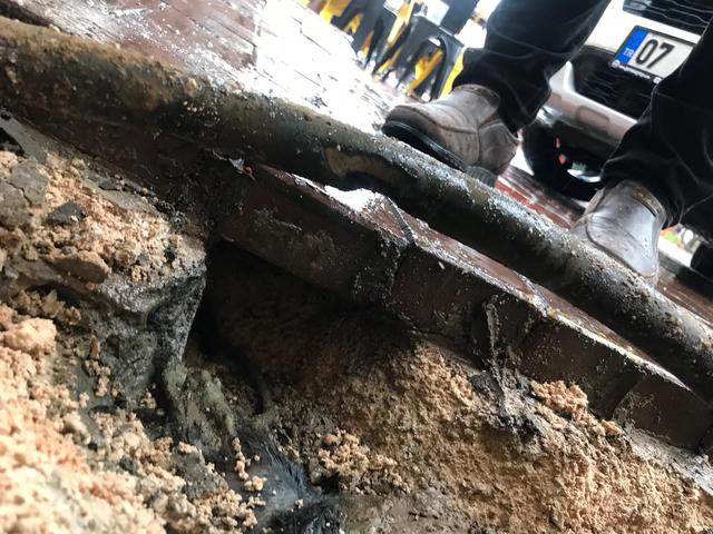 Fareler elektrik kablolarını kopardı, kesinti yaşandı