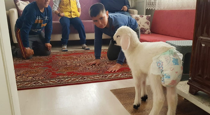 Kuzuyla alışverişe gidiyor, çocuk bezi bağlıyor