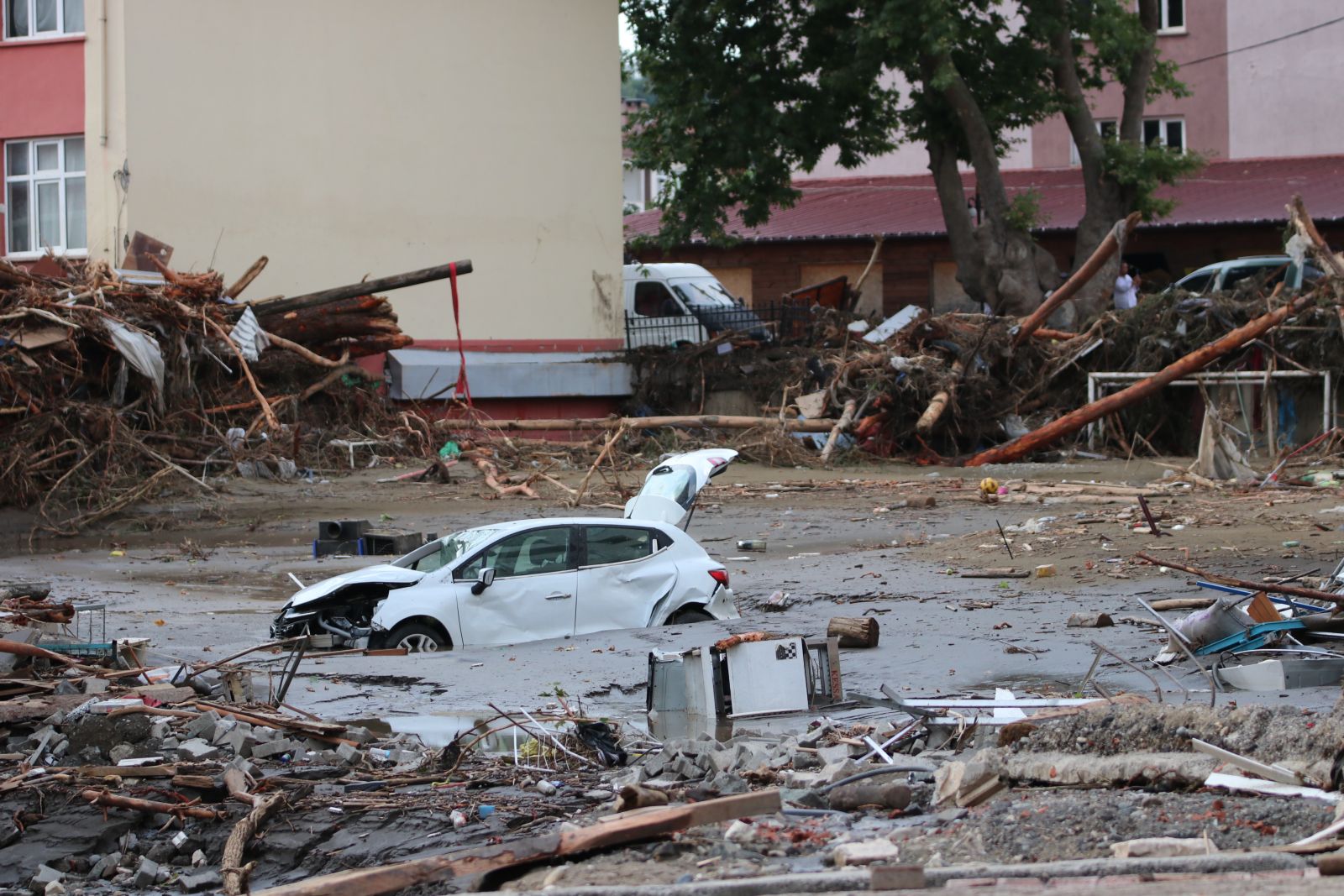 Bakan Soylu’dan Bozkurt açıklaması
