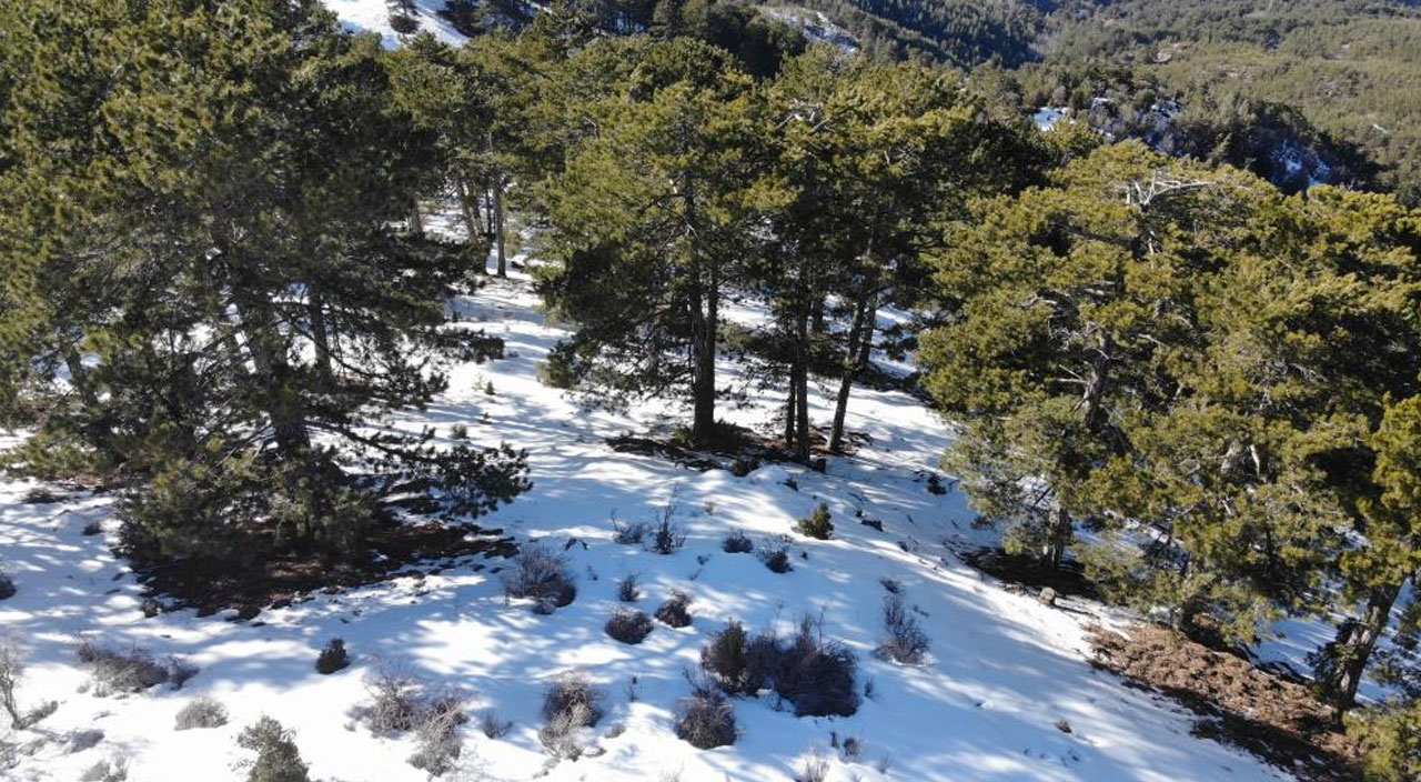 13 gündür aranan gençten kötü haber
