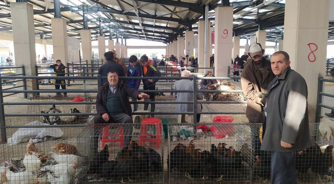 Tavuk satışları patladı: Markette 30 lira olan tavuk pazarda 10 lira