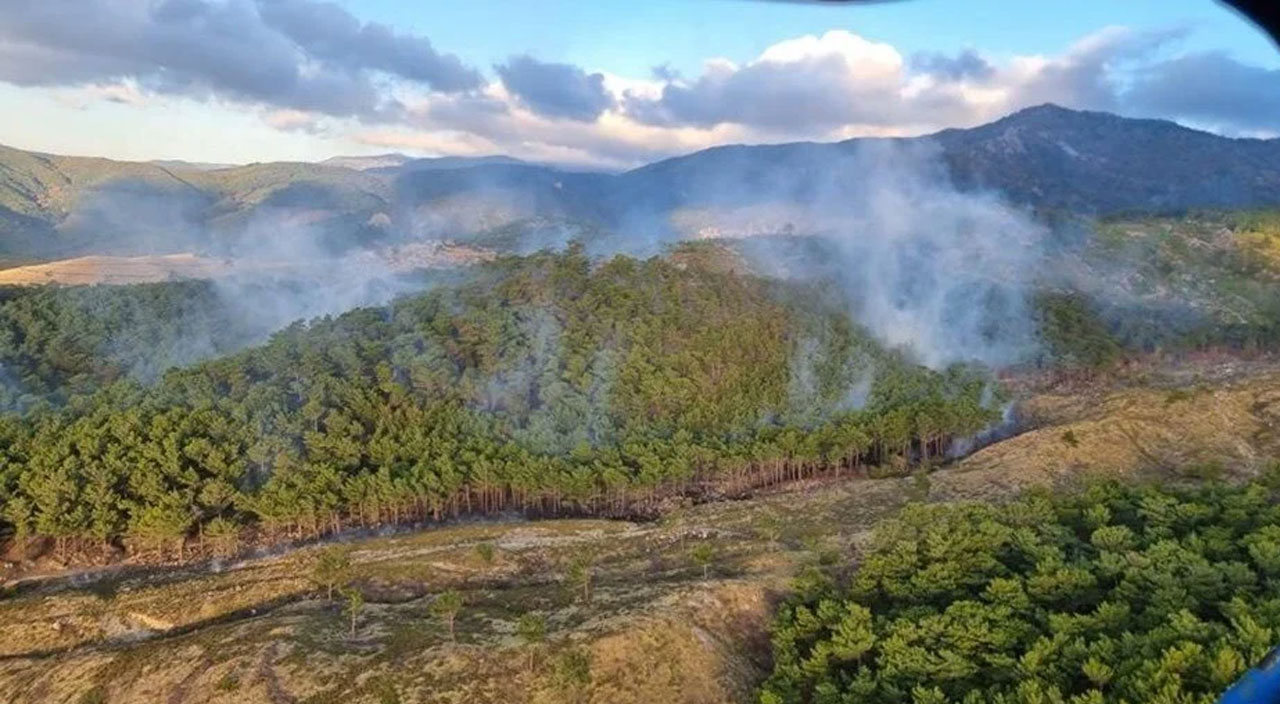 Balıkesir'in Edremit ilçesinde çıkan orman yangınına müdahale ediliyor