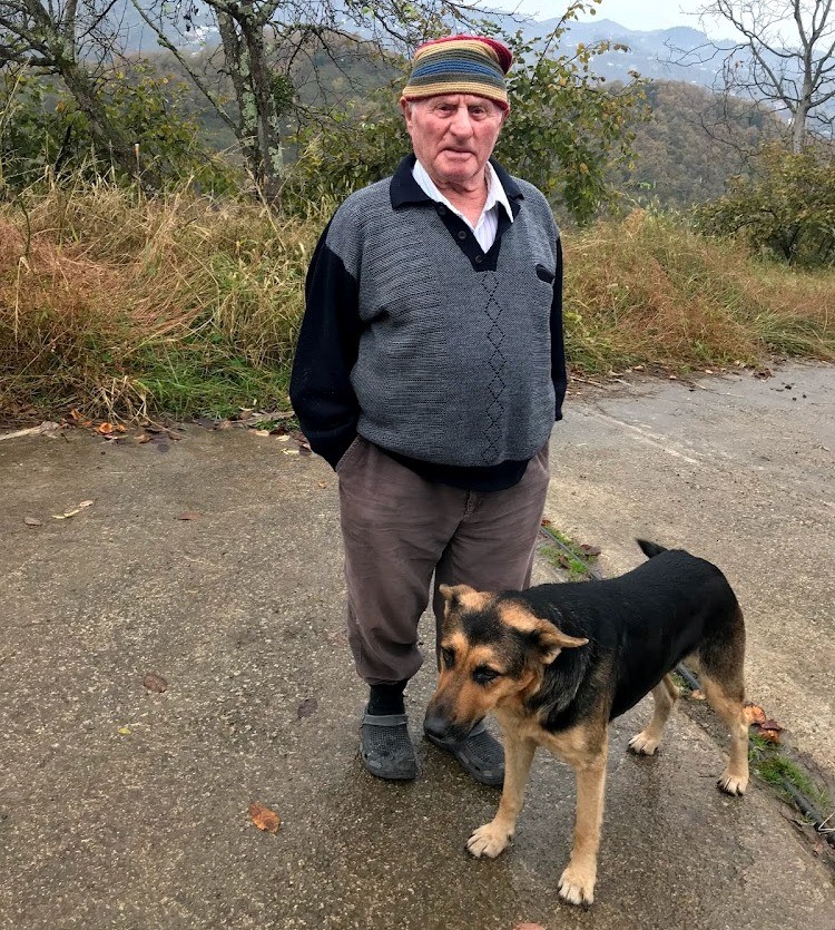 Vefalı köpek ölen sahibinin mezarı başından ayrılmıyor