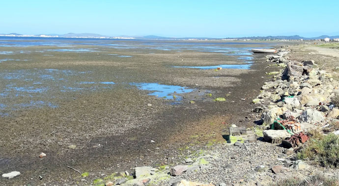 Denizde korkutan çekilme