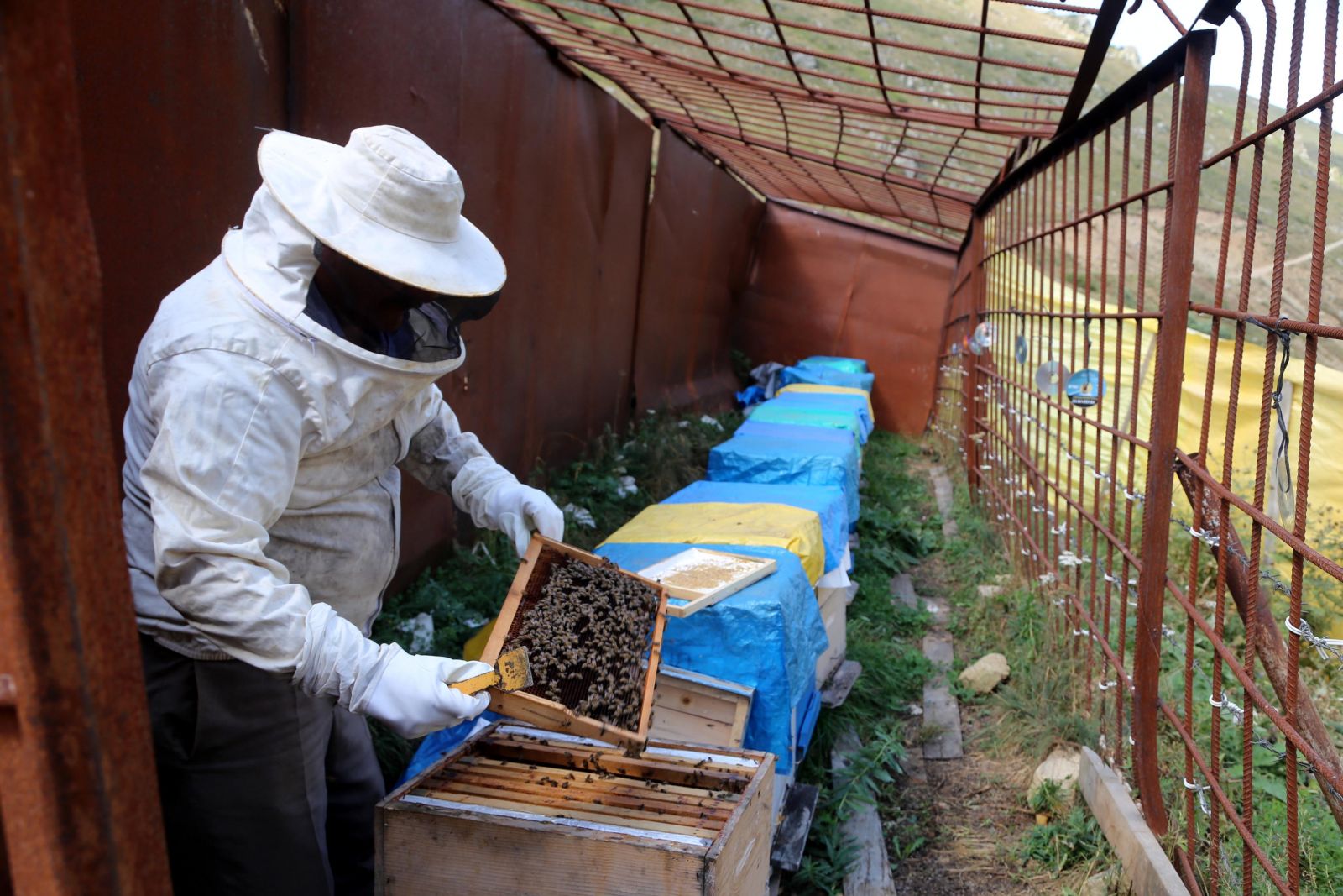 Alıcısı bir yıl önceden sıraya giriyor