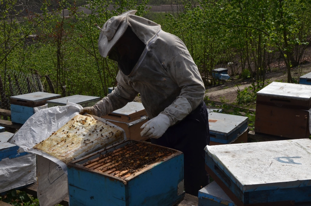 Cumhurbaşkanı Erdoğan'ın sözünü dinledi, hayatı değişti