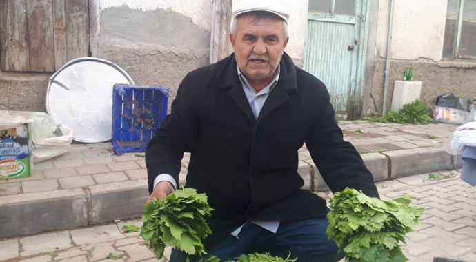 Yaprağı meyvesinden pahalı