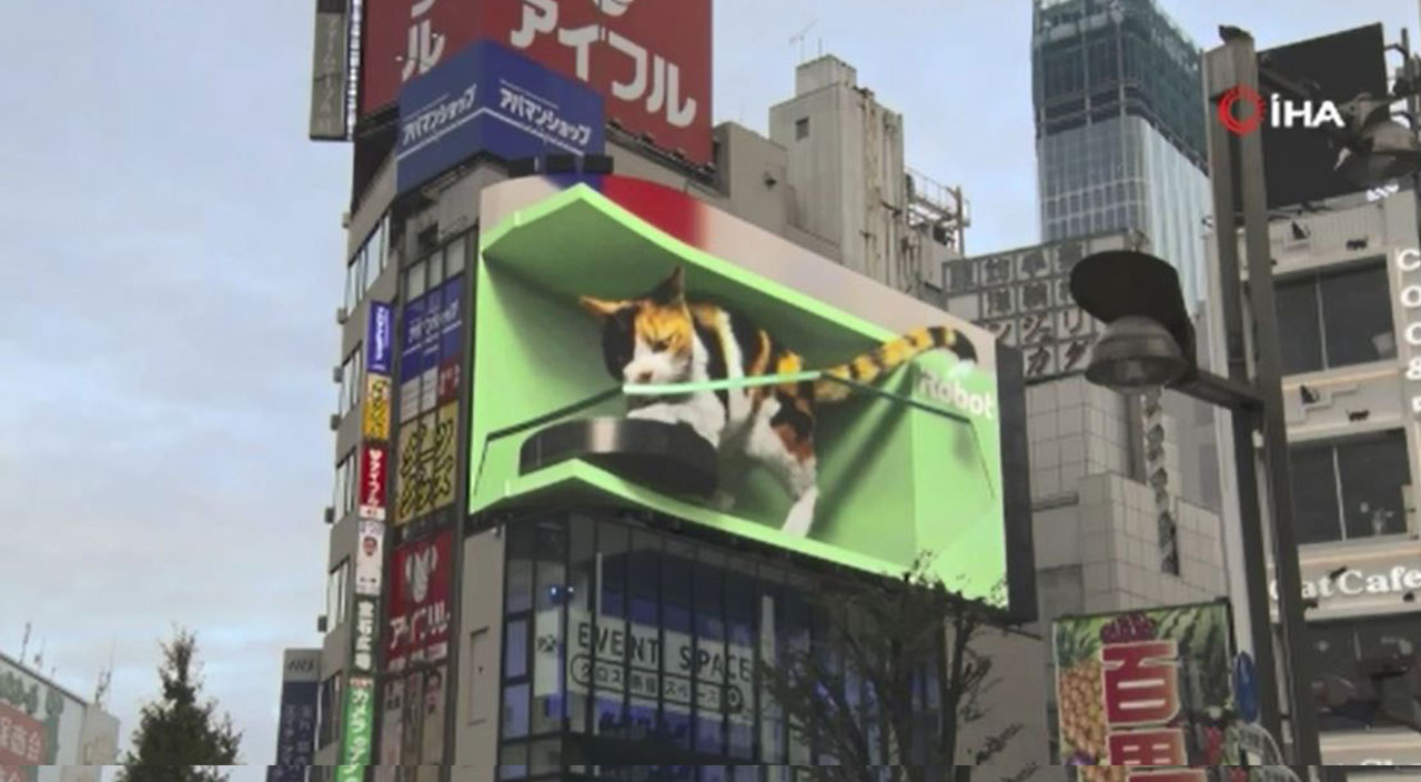 Tokyo’daki üç boyutlu kedinin süpürgeyle oynadığı anlar yoğun ilgi gördü Tokyo’daki üç boyutlu kedinin süpürgeyle oynadığı anlar yoğun ilgi gördü