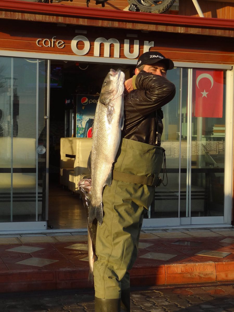 Olta balıkçısına 'levrek piyangosu'