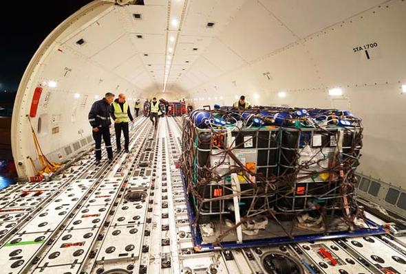 Turkish Cargo, 100 ton yavru çipurayı Umman'a taşıdı