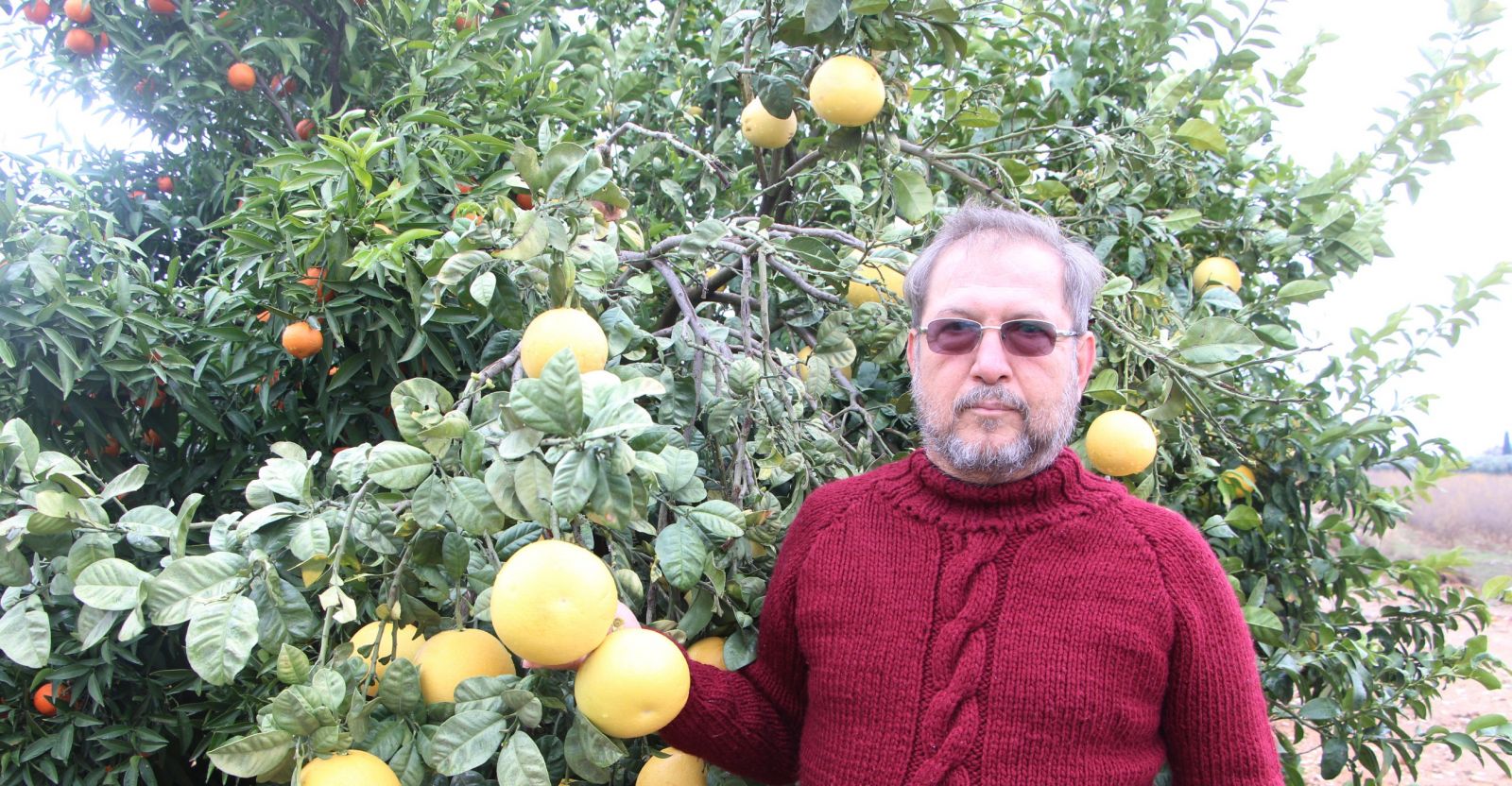 4 ülkenin meyvesini tek ağaçta yetiştirdi, bahçe ziyaretçi akınına uğradı