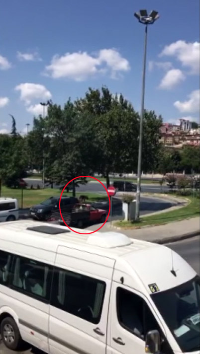 Bebek’te yaya geçidini kullanan köpek kamerada