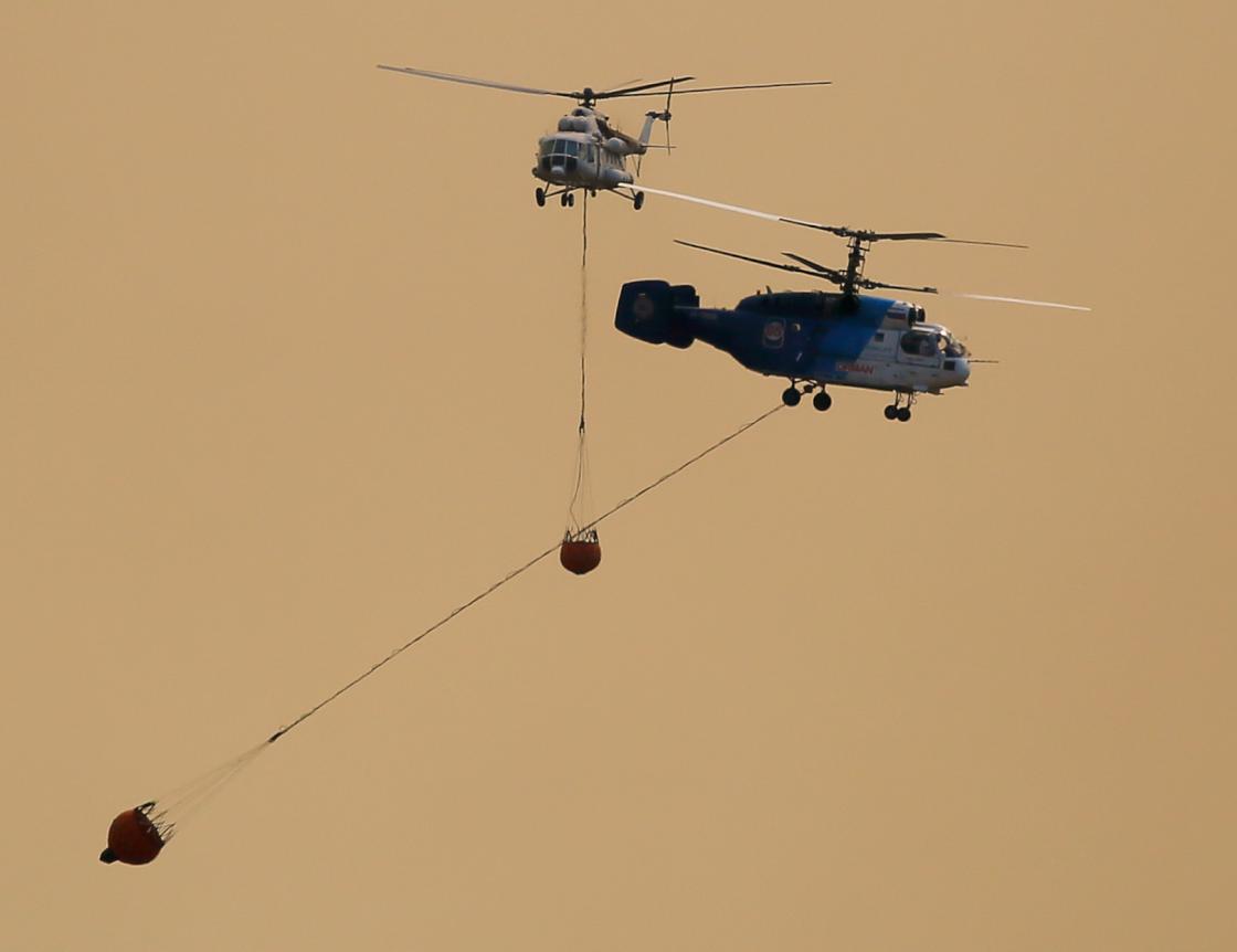 Bakan Pakdemirli'den İzmir'deki orman yangını ile ilgili açıklama
