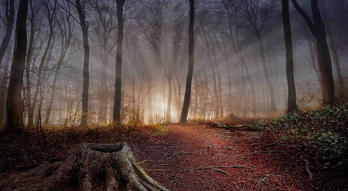 Manzara fotoğraflarının en güzelleri