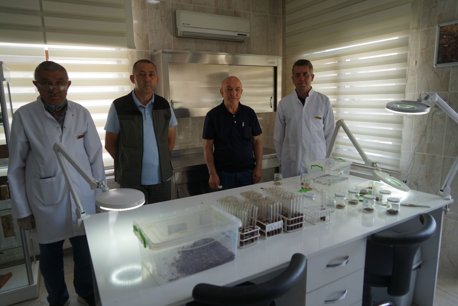 Orman ekosistemini koruyor! Bu böcekler laboratuvarda üretiliyor