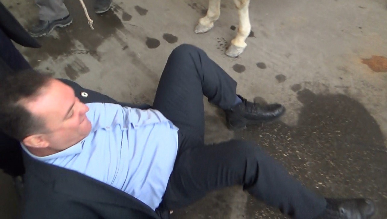 Gelecek Partili Başkan'ın eşekli zam protestosu düşmesiyle son buldu