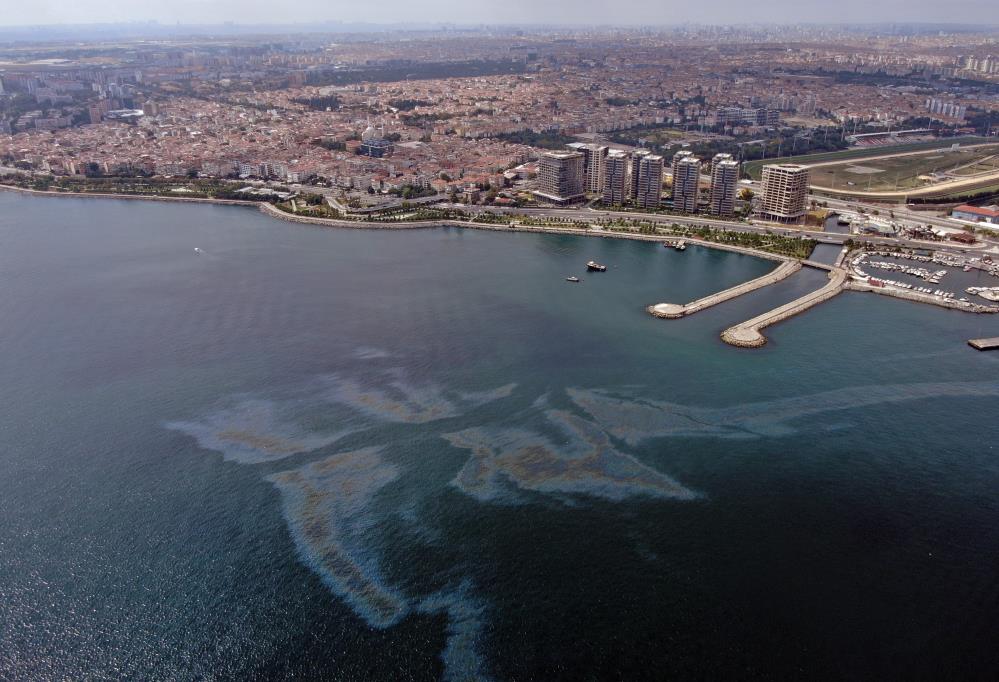 Zeytinburnu sahilinde korkutan görüntü