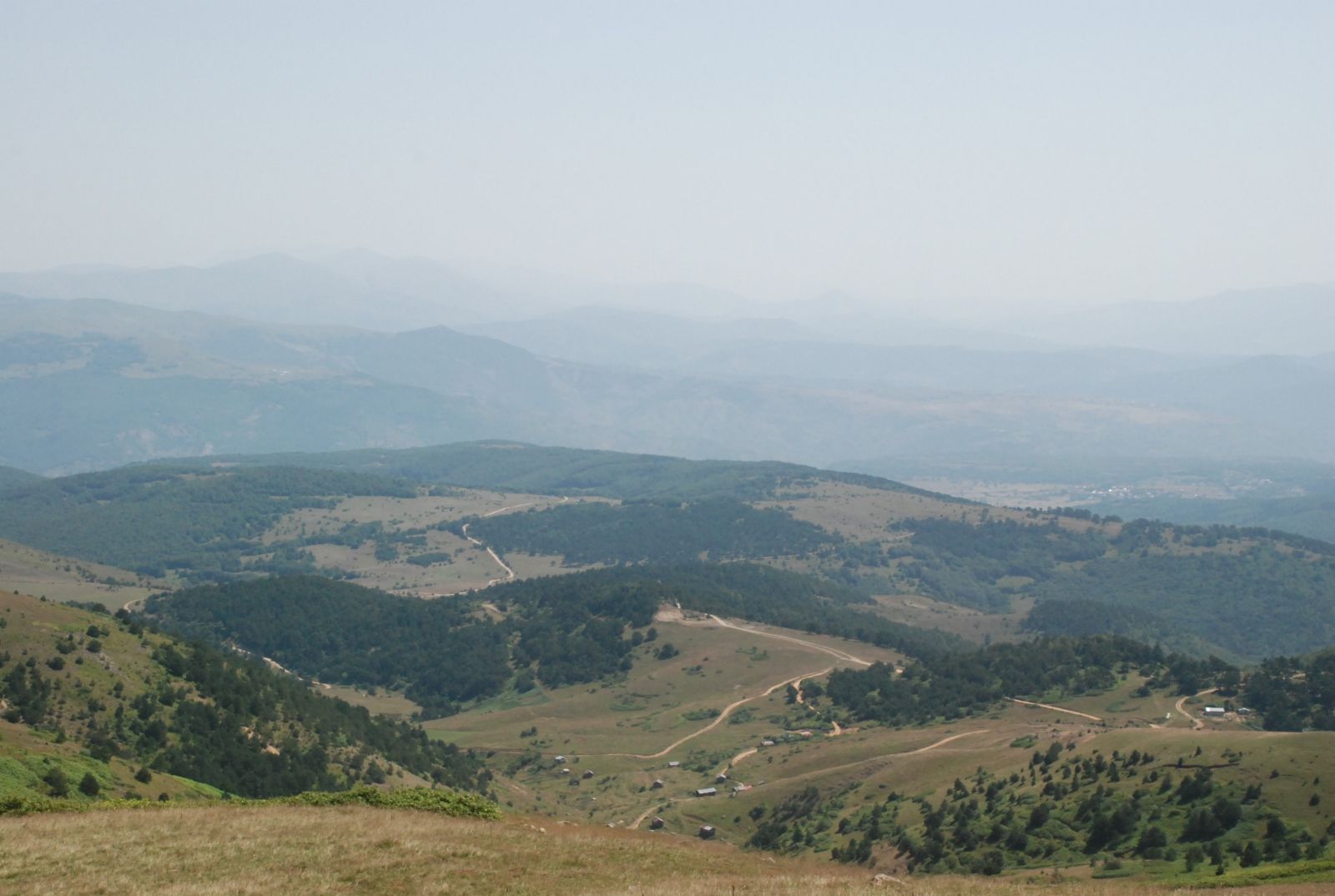 Ordu'da PKK ile çatışma: 1 terörist öldürüldü