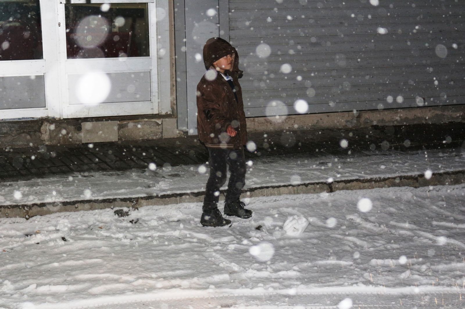 Doğu ve Güneydoğu kara teslim