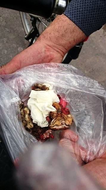Kedi ve köpekleri tarım ilaçlı etle zehirlediler