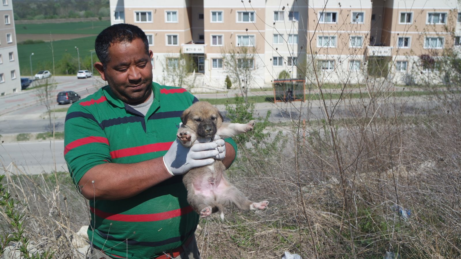 Beton altında kalan yavrular kurtarıldı