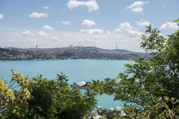 İstanbul Boğazı turkuaza boyandı