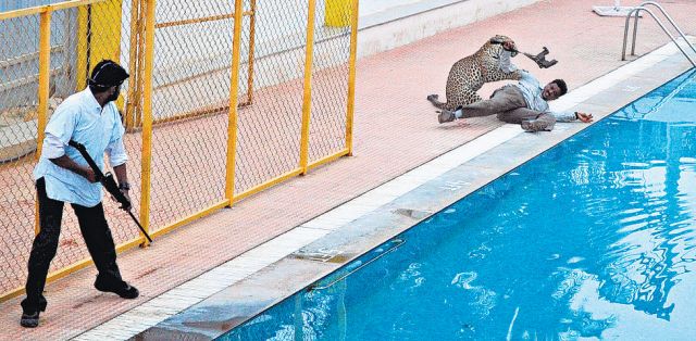 Okulu leopar bastı, önüne gelene saldırdı! 6 yaralı var