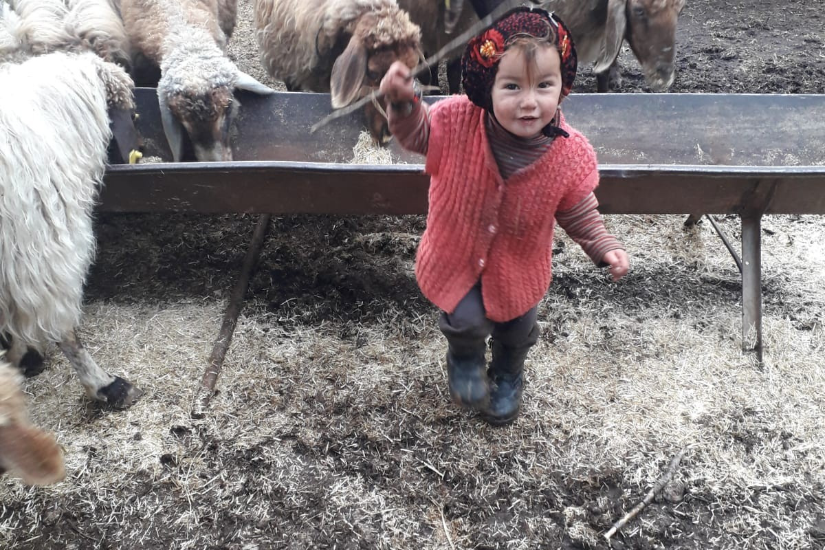 Mersin'de Müslüme'nin arandığı bölgede kan izi bulundu